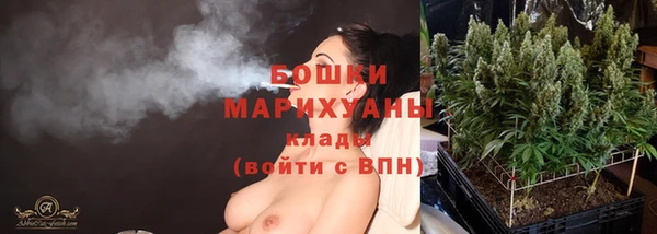 индика Коряжма