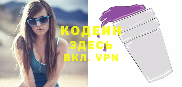 индика Коряжма