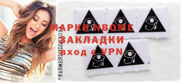 индика Коряжма