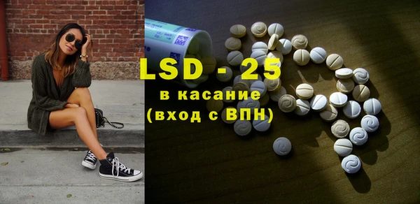индика Коряжма