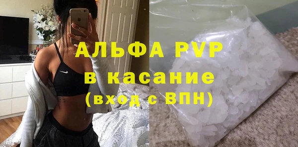 индика Коряжма