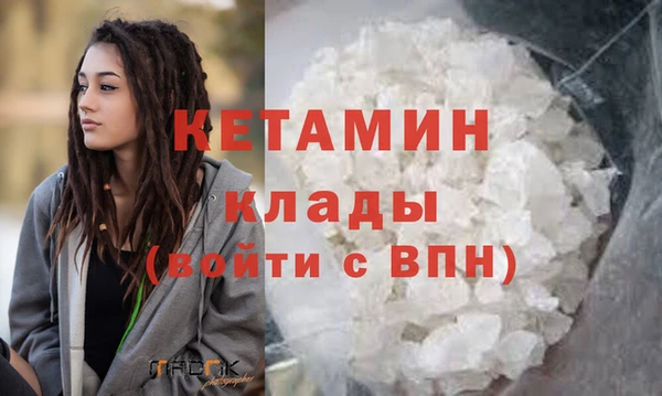 индика Коряжма